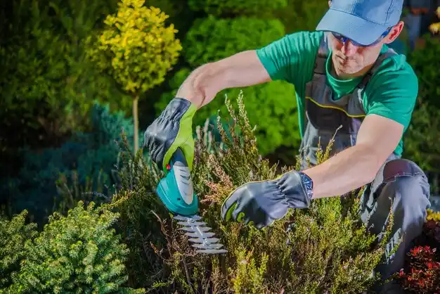 landscaping services Twin Lake